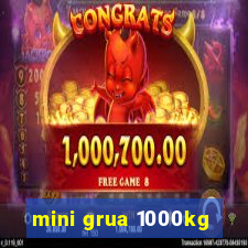 mini grua 1000kg